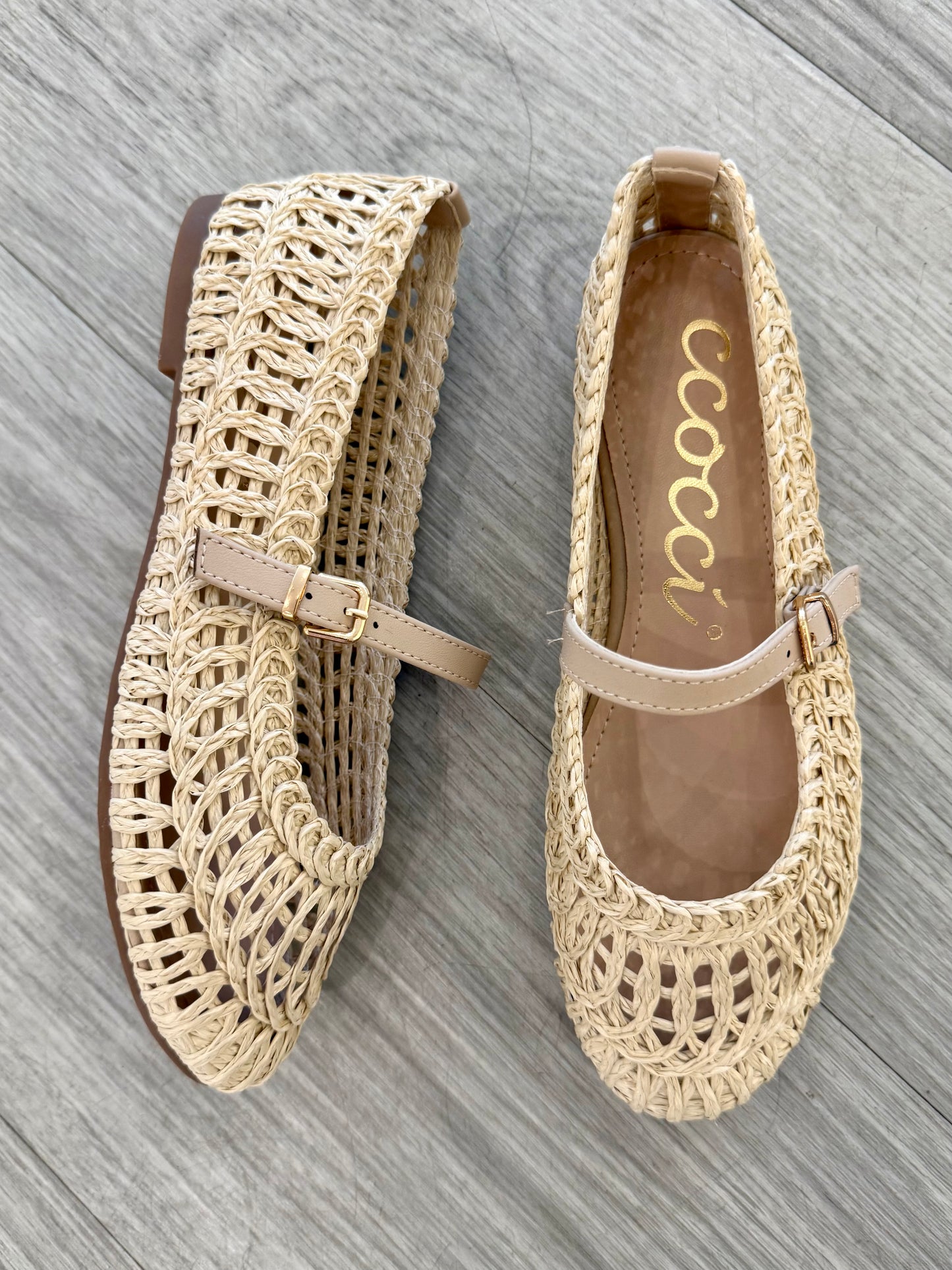 Susan Ballet Flat in Natural