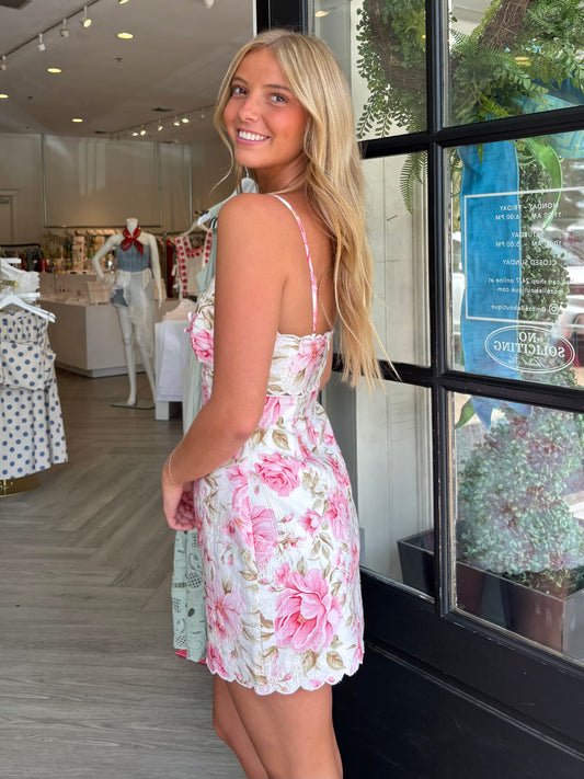 Pink Pure Scallop Mini