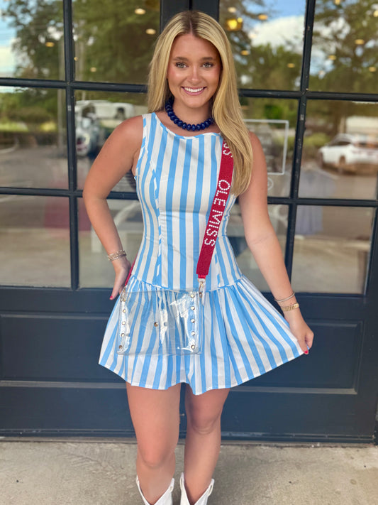 Powder Stripe Drop Waist Mini