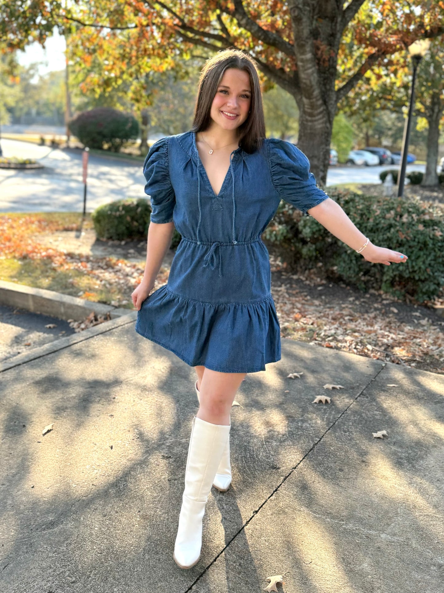 Denim Butterfly Sleeve Dress