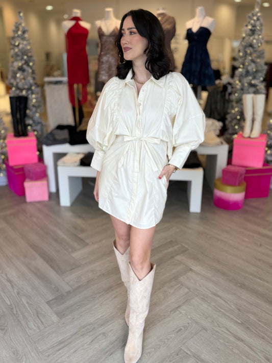 Statement Sleeve Mini Dress (3 colors)