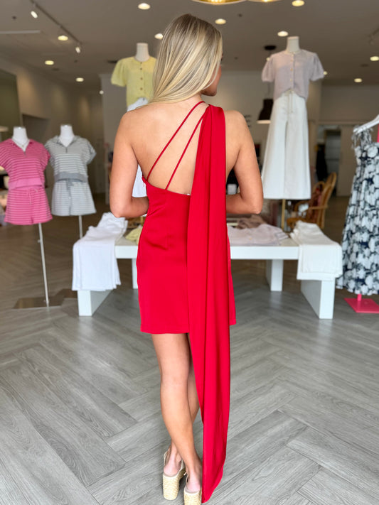 Scarlet Andi Mini Dress