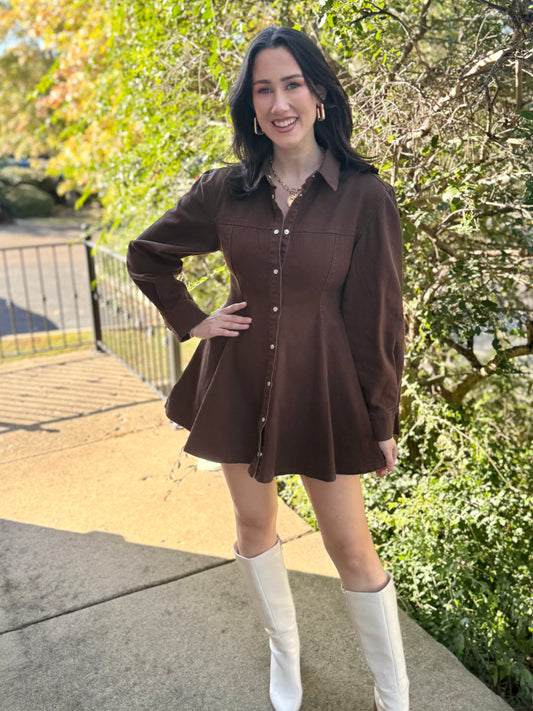 Brown Denim Button Down Dress