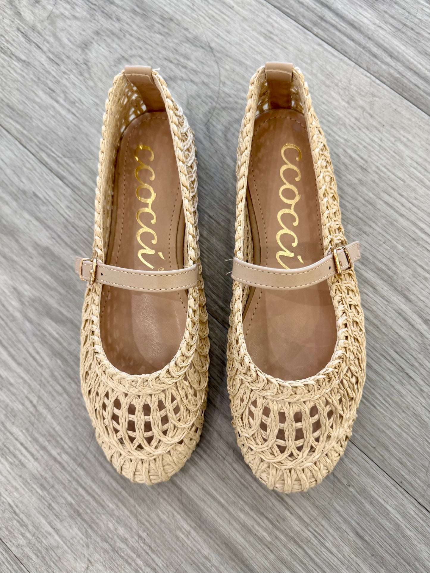 Susan Ballet Flat in Natural