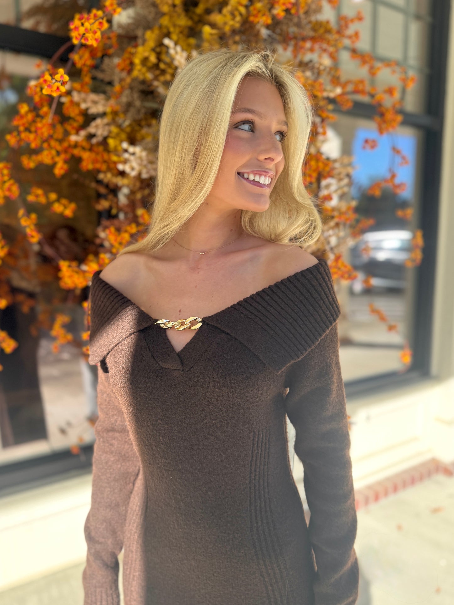 Brown Gold Chain Knit Maxi