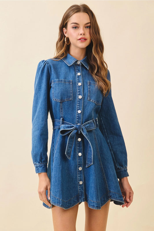Denim Snap Button Flare Dress