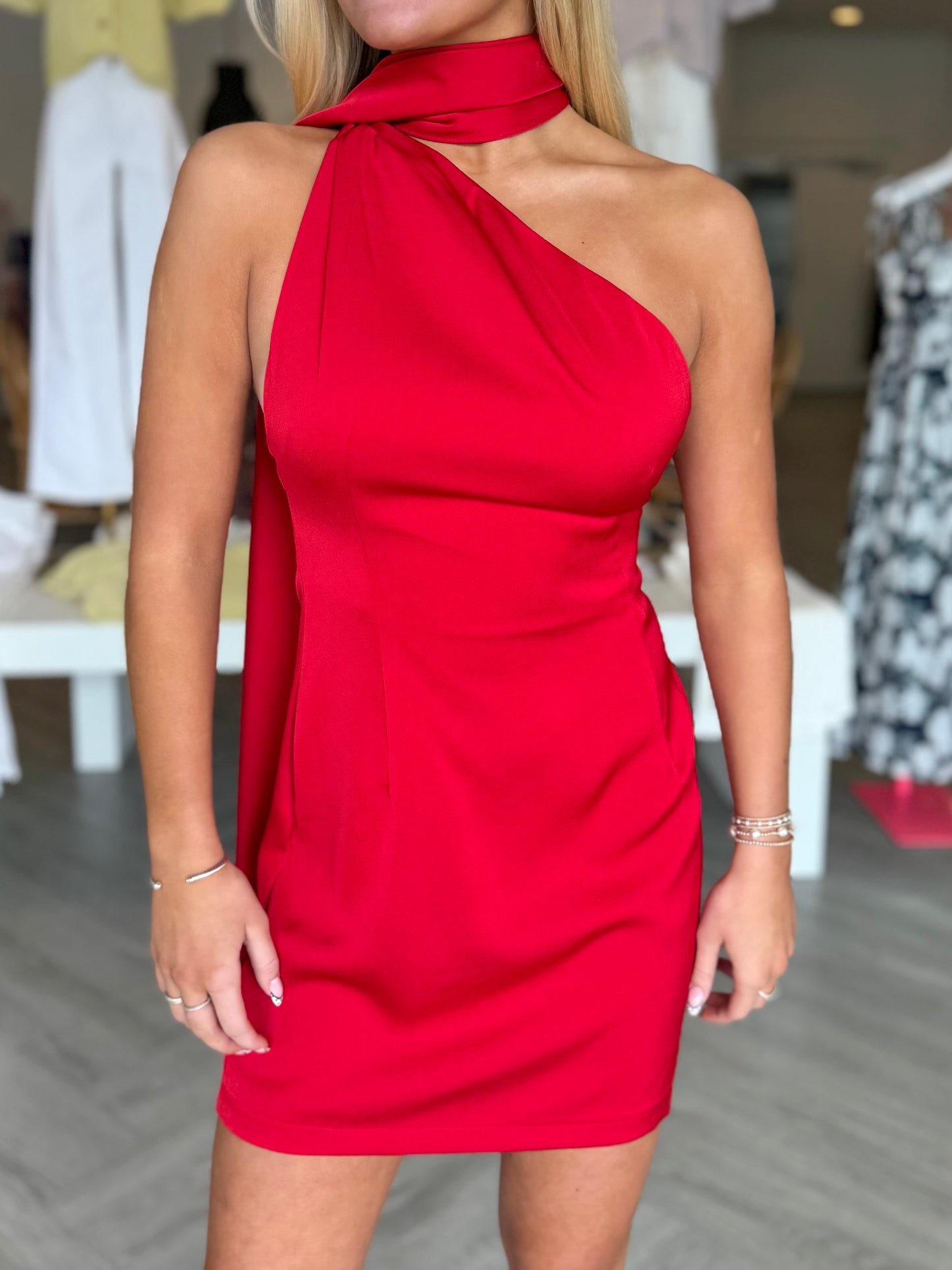 Scarlet Andi Mini Dress