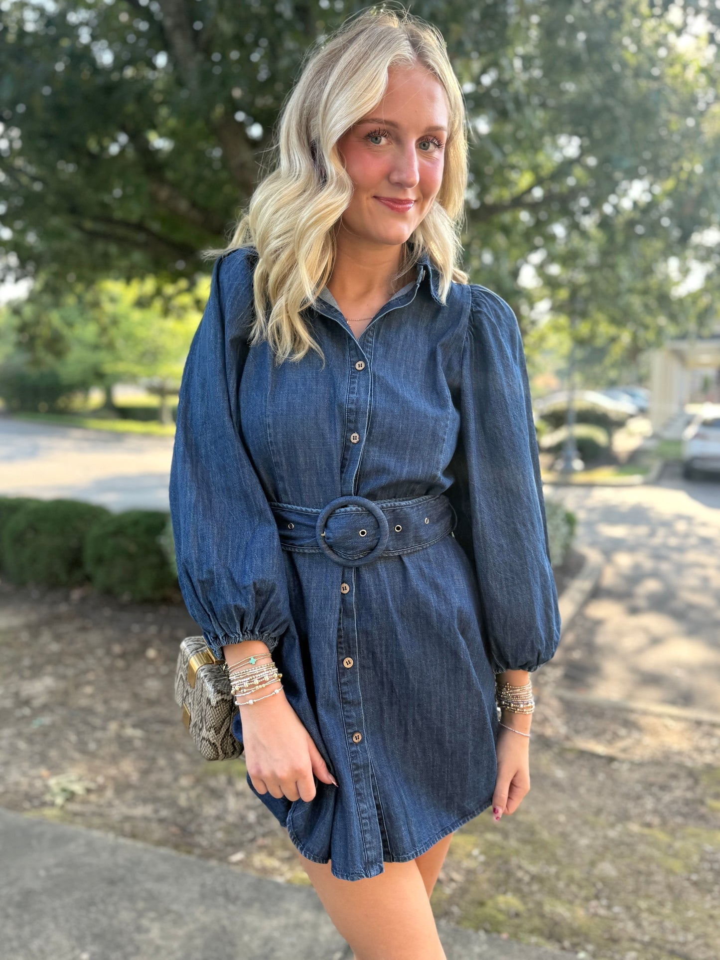 Denim Belted Collar Mini