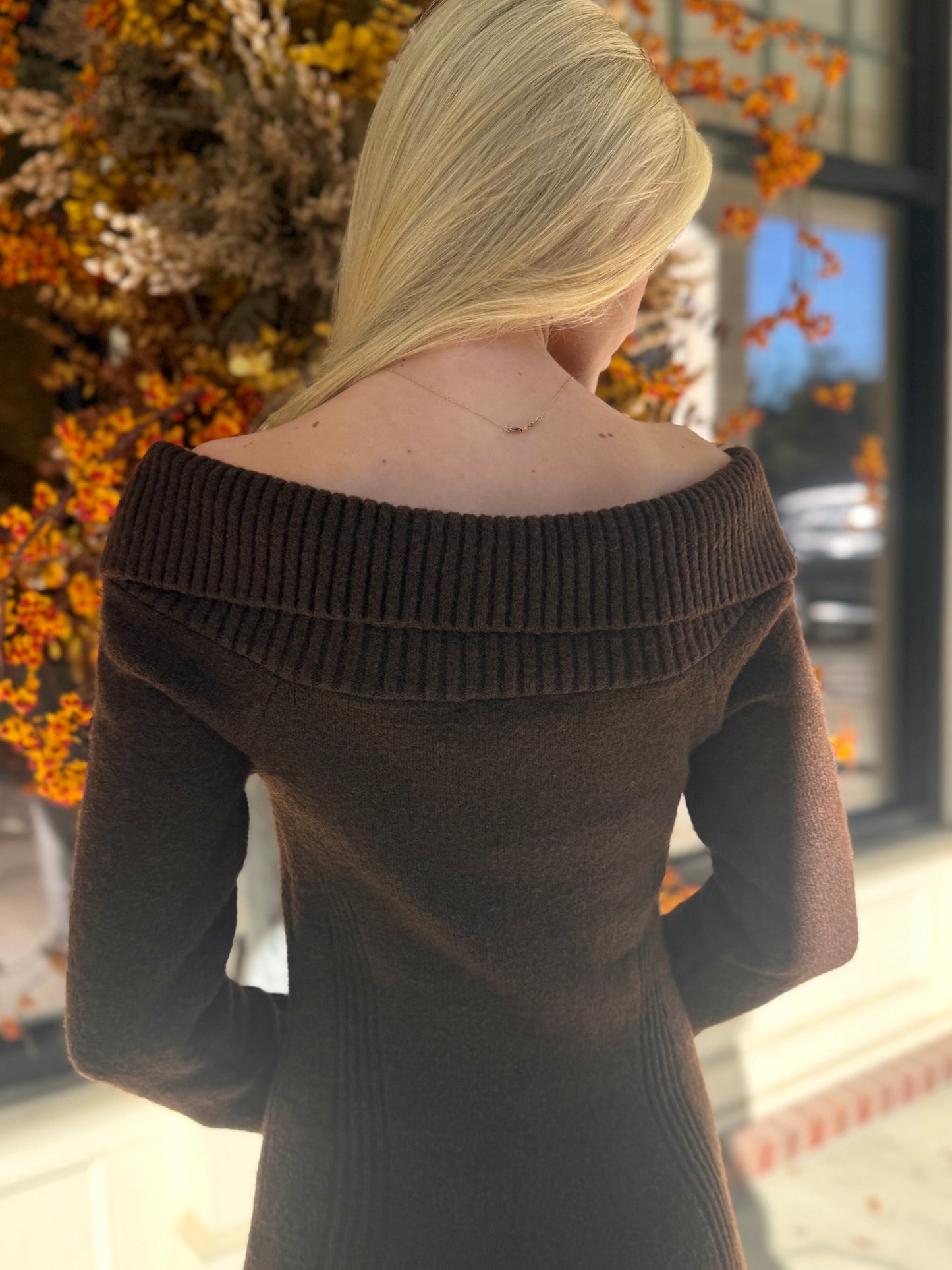 Brown Gold Chain Knit Maxi