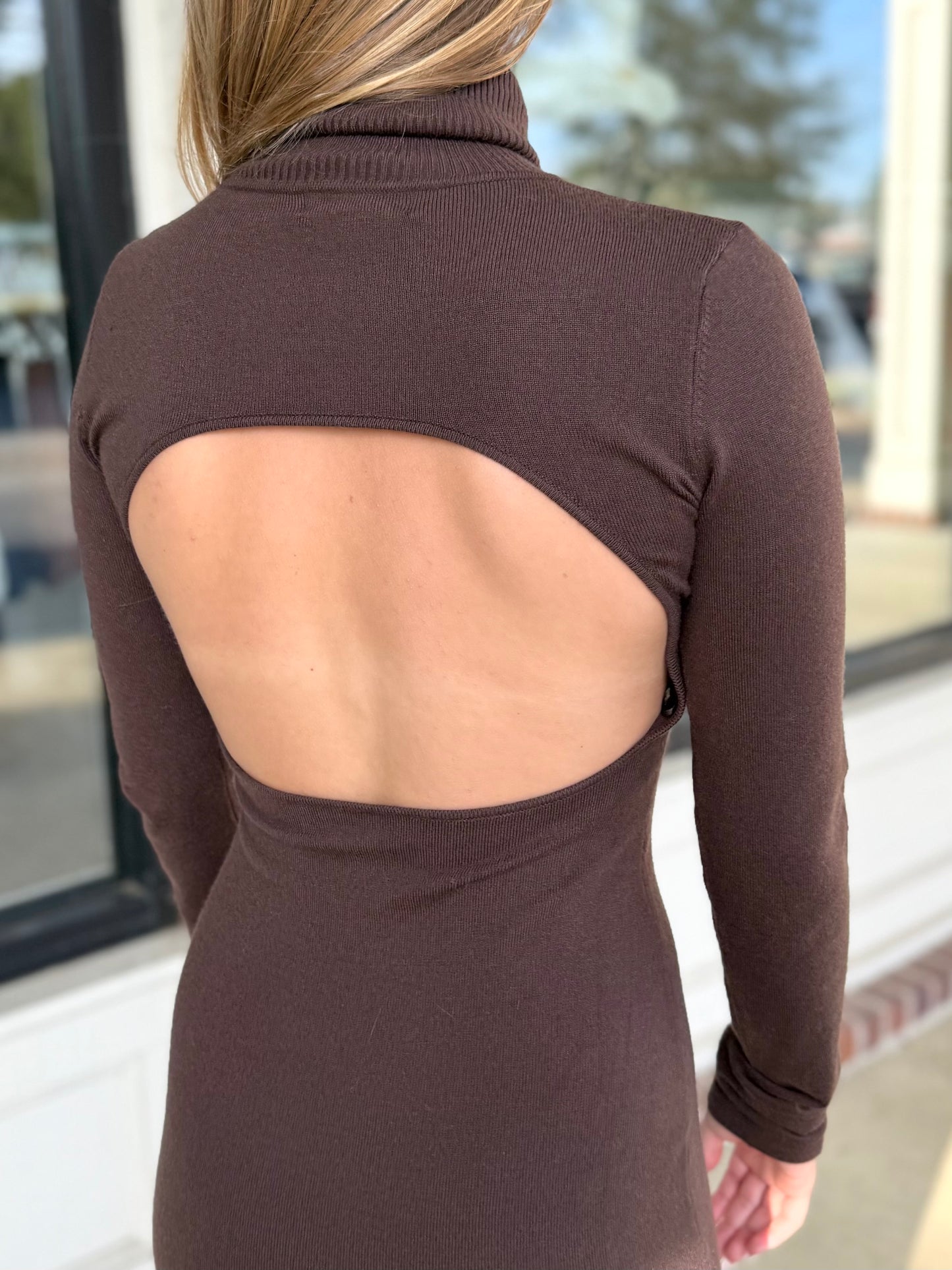 Turtle Neck Knit Dress (2 colors)