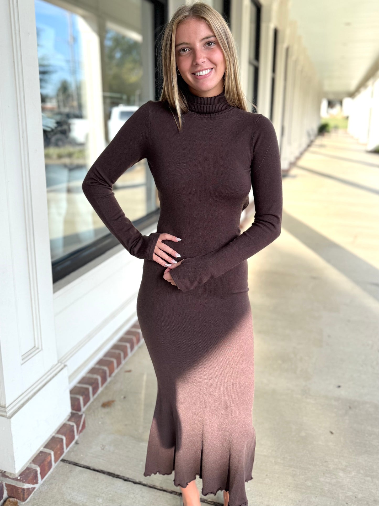 Turtle Neck Knit Dress (2 colors)