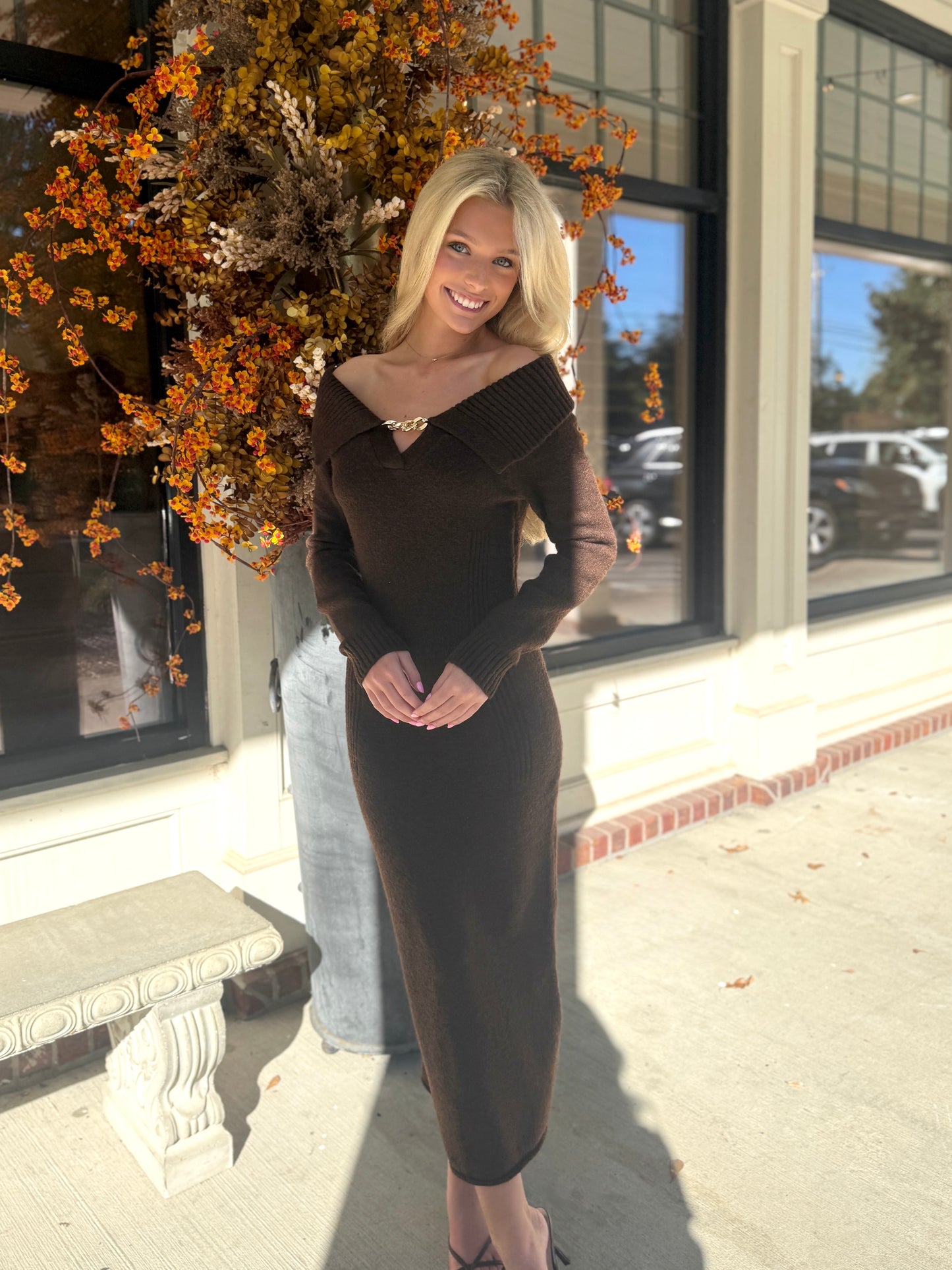 Brown Gold Chain Knit Maxi