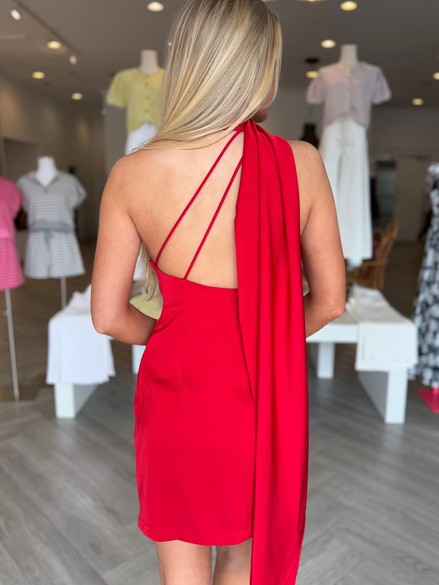 Scarlet Andi Mini Dress