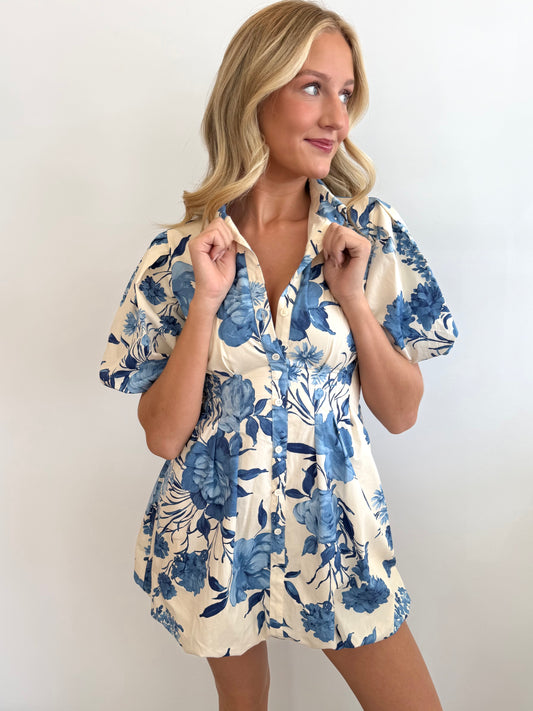 Cream/Blue Hydrangea Mini