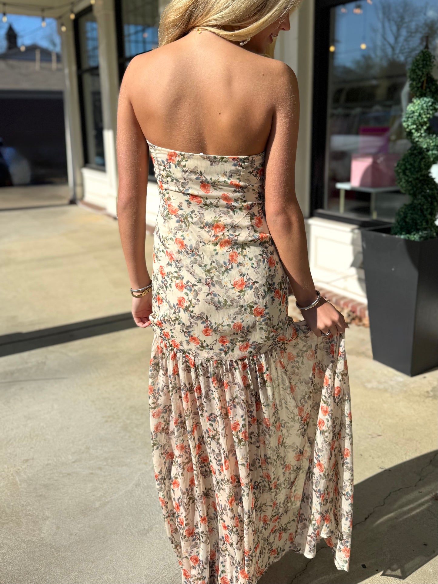 Rose Sheer Maxi Dress