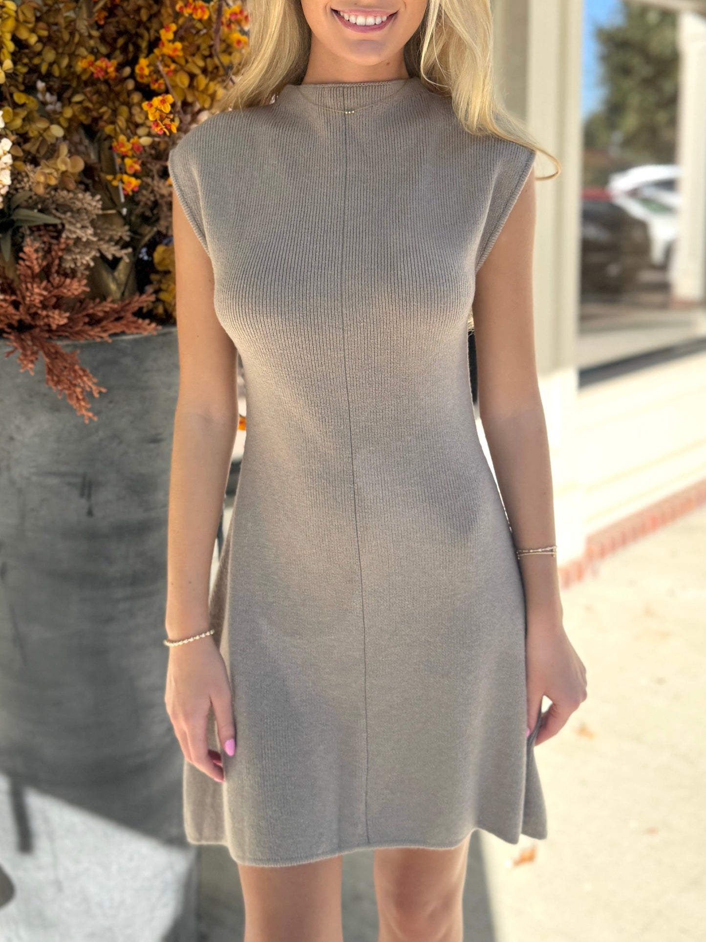 Taupe Skater Mini Dress