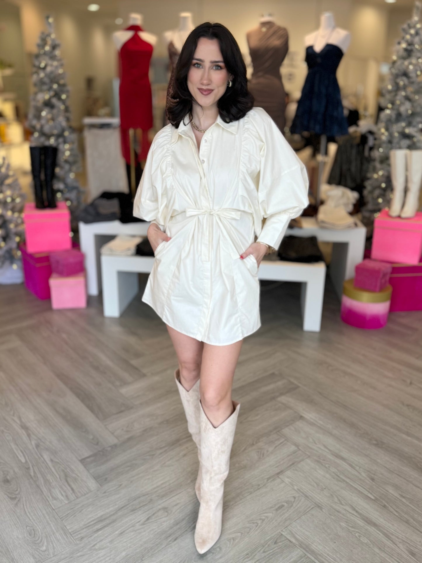 Statement Sleeve Mini Dress (3 colors)