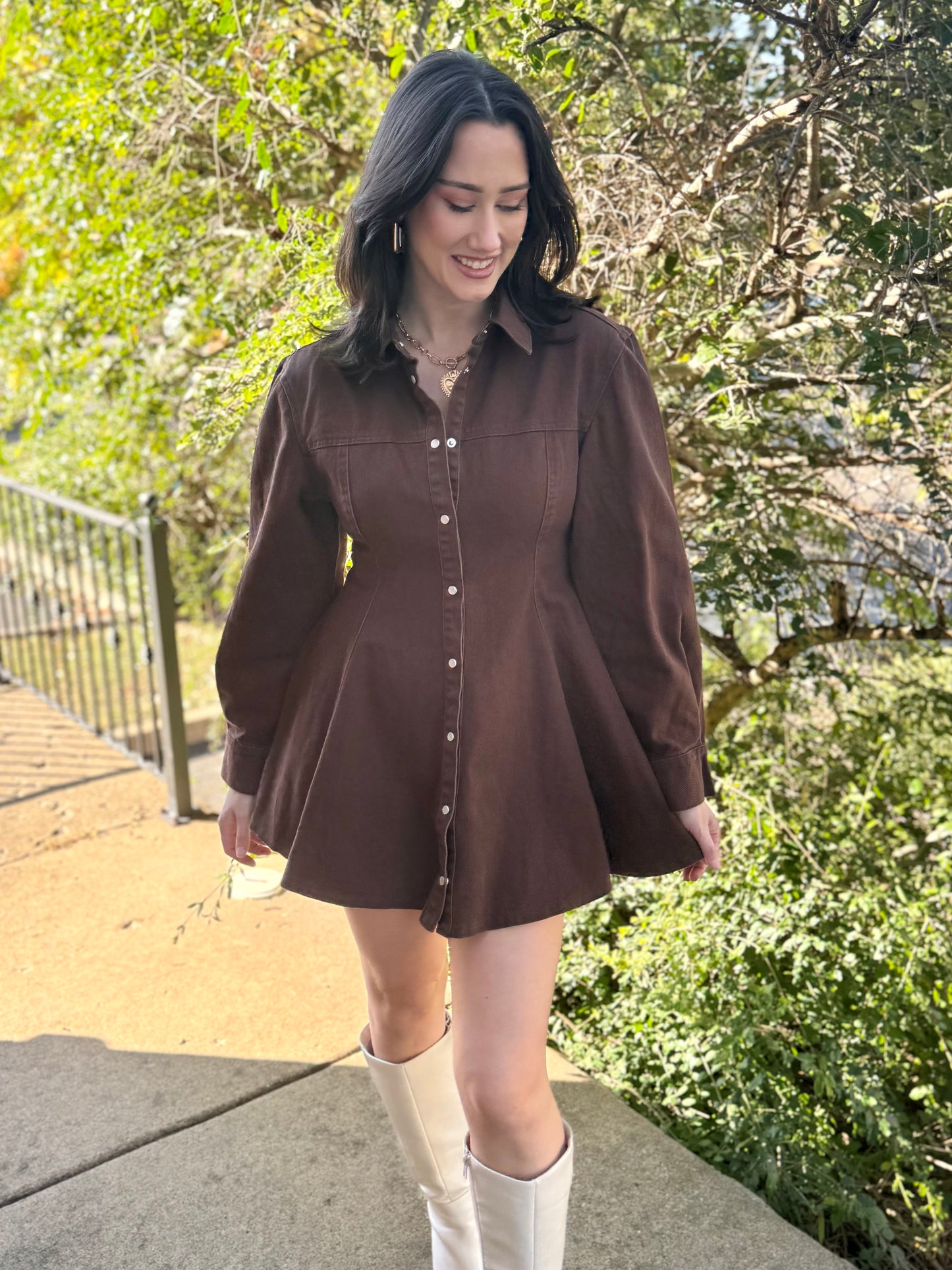 Brown Denim Button Down Dress