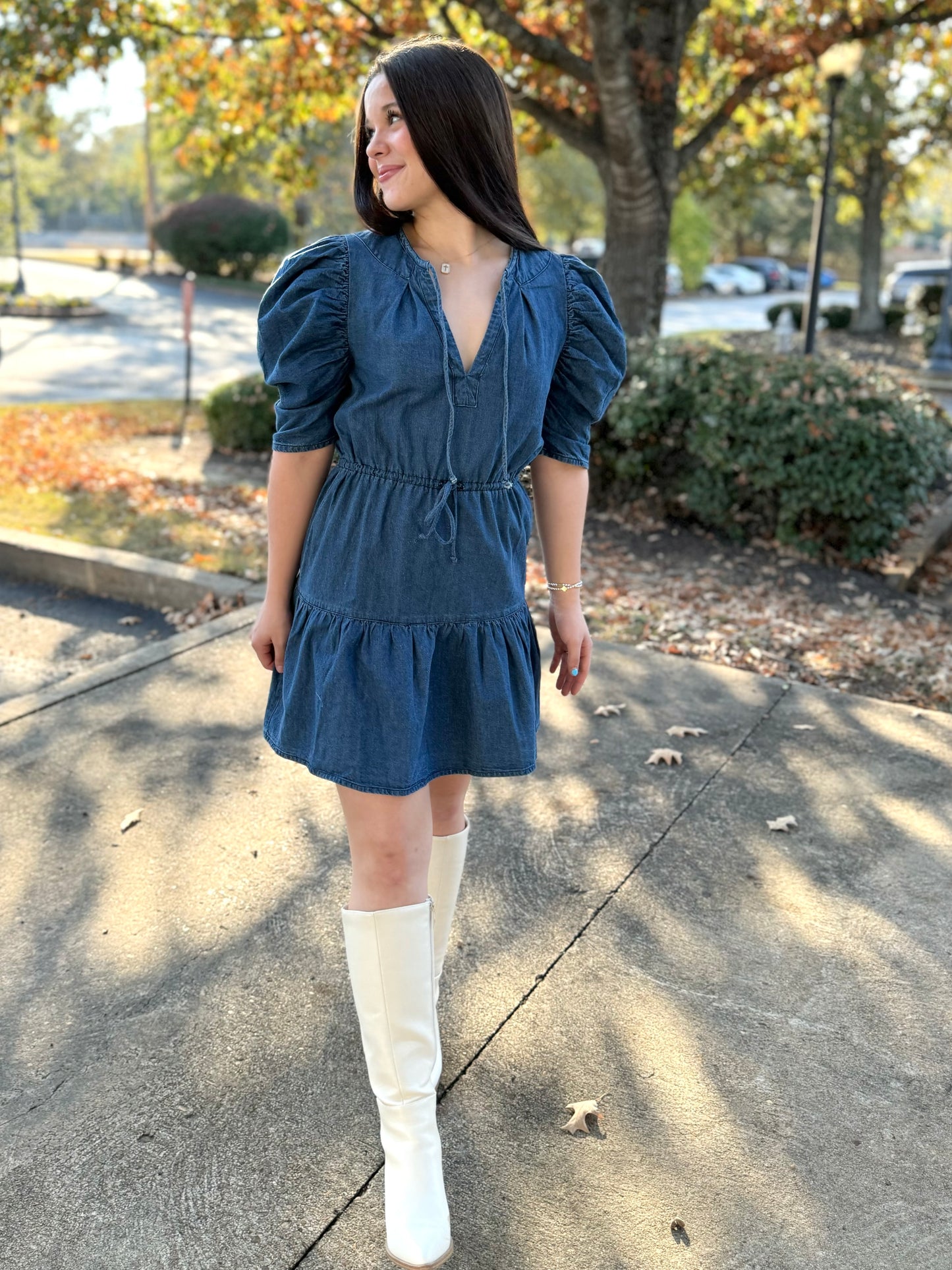 Denim Butterfly Sleeve Dress