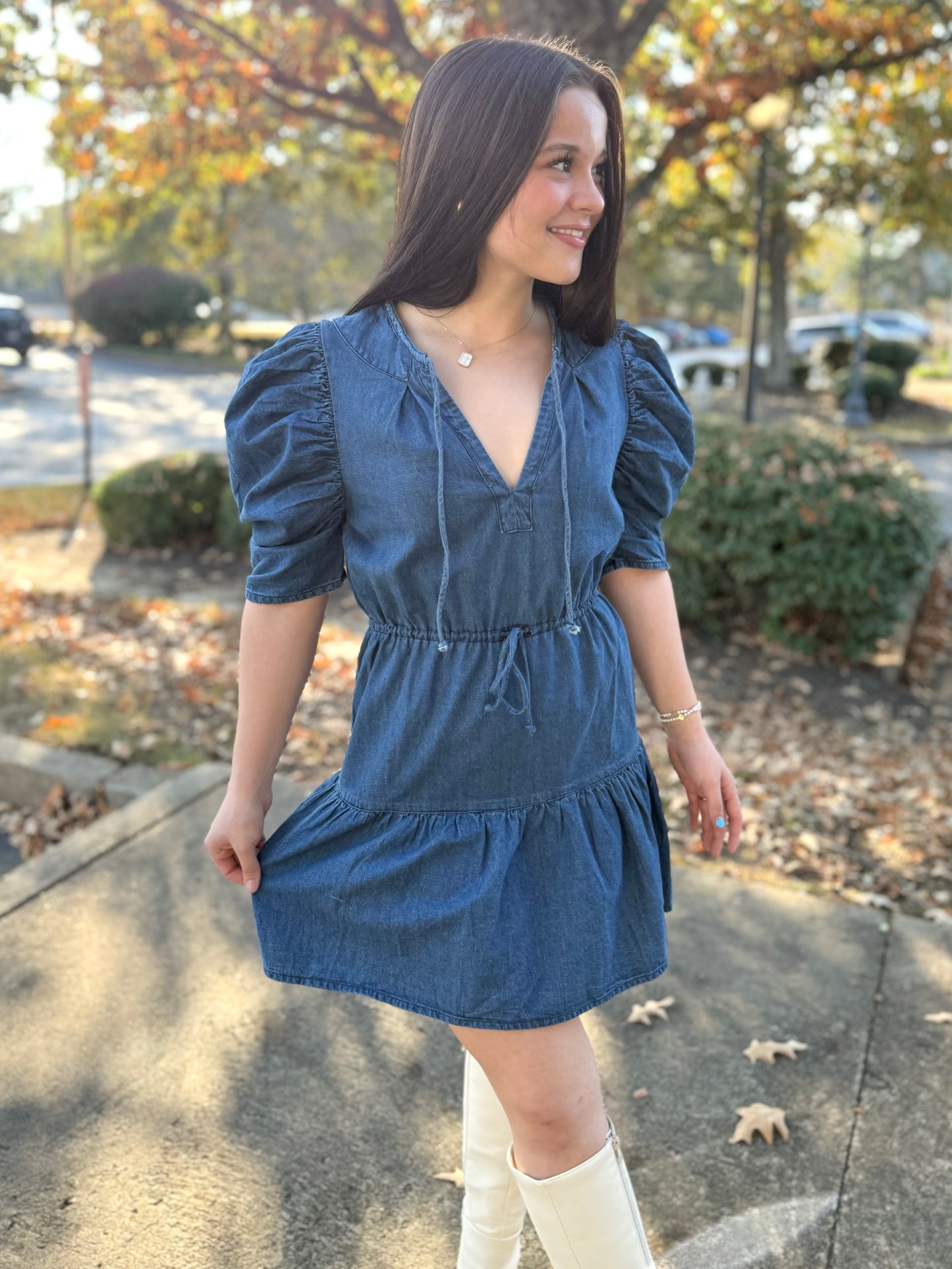 Denim Butterfly Sleeve Dress