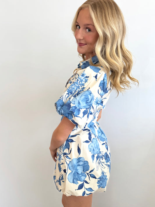 Cream/Blue Hydrangea Mini