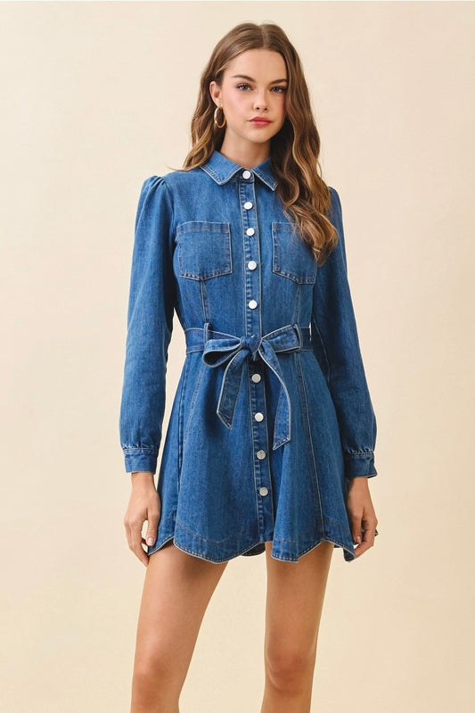 Denim Snap Button Flare Dress