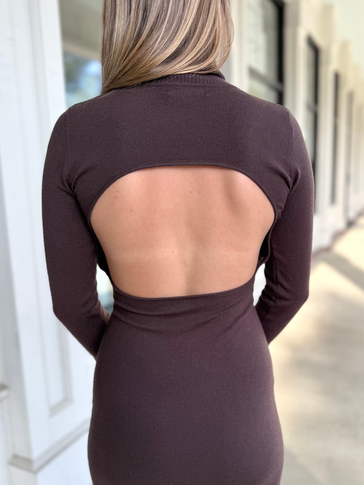 Turtle Neck Knit Dress (2 colors)