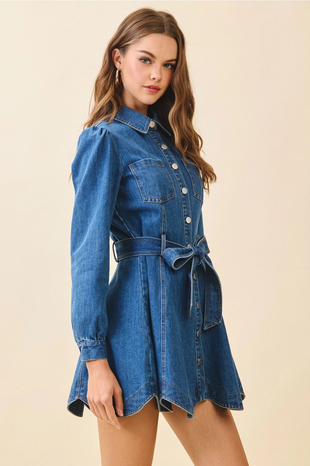 Denim Snap Button Flare Dress