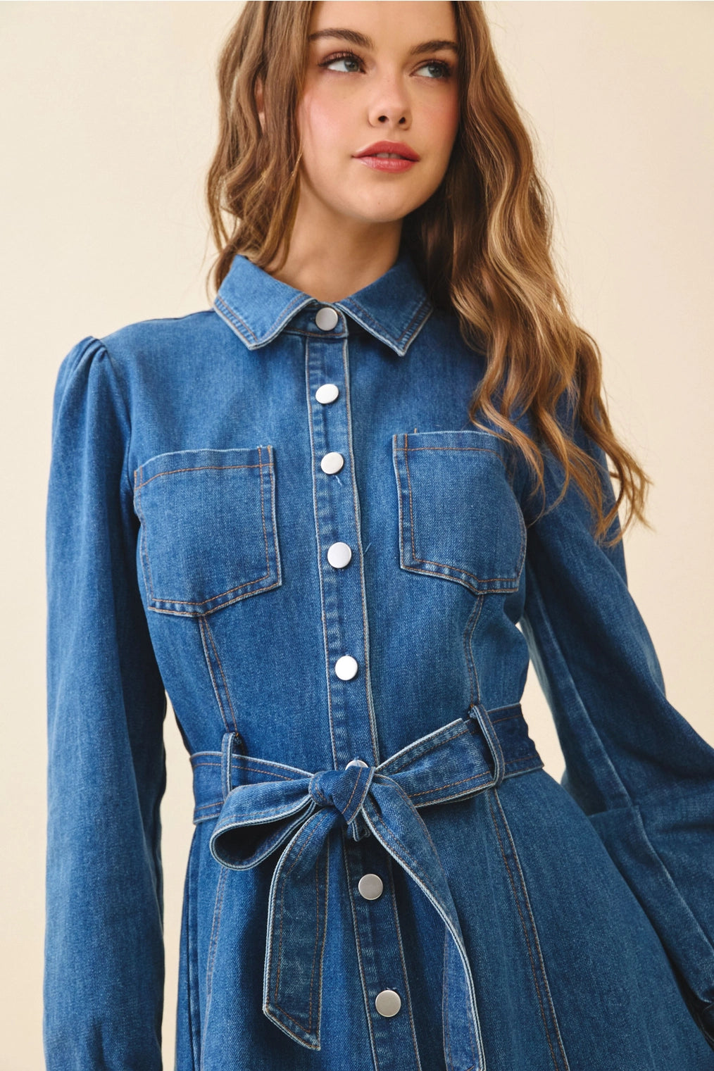 Denim Snap Button Flare Dress