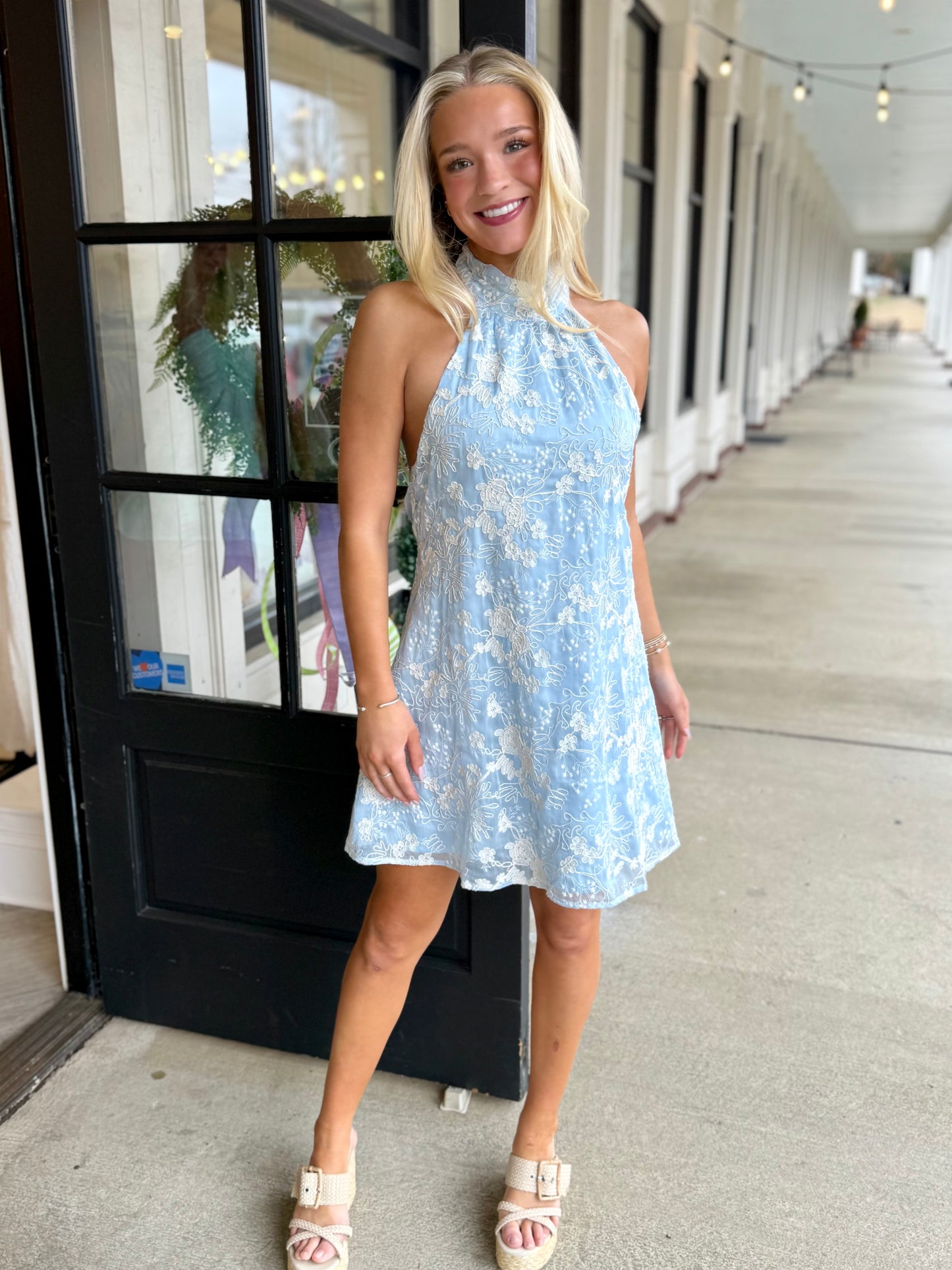 Blue Baby Breath Halter Mini